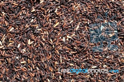 Brown Rice Stock Photo