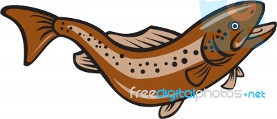 Brown Spotted Trout Jumping Cartoon Stock Image