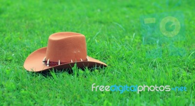 Brown Stetson On Green Grass Stock Photo