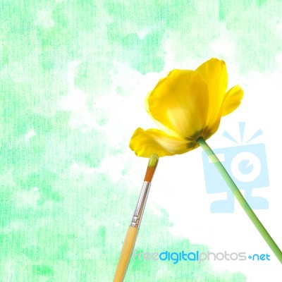 Brush Paint Yellow Flower Stock Photo