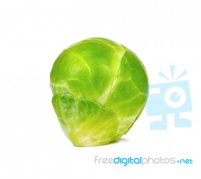 Brussel Sprout Isolated On The White Background Stock Photo