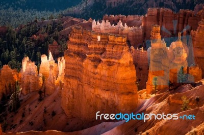 Bryce Canyon Sculpted By Nature Stock Photo