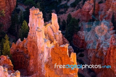 Bryce Canyon Sculpted By The Elements Stock Photo