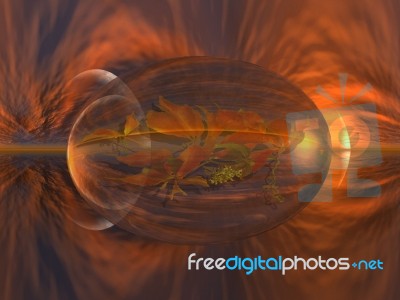 Bubble And Sunset Stock Image