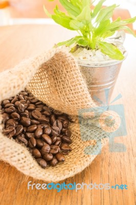 Bucket Of Green Plant Decorated On Wooden Table Stock Photo