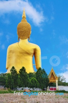 Buddha Statue Stock Photo