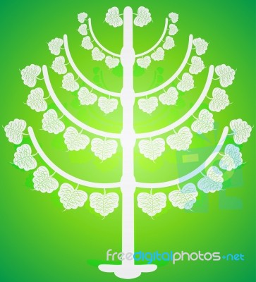 Buddhist Tree Stock Image