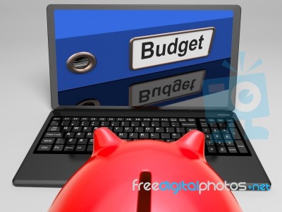 Budget File On Laptop Shows Financial Control Stock Image