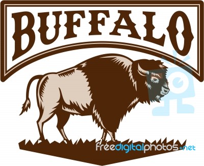 Buffalo American Bison Side Woodcut Stock Image