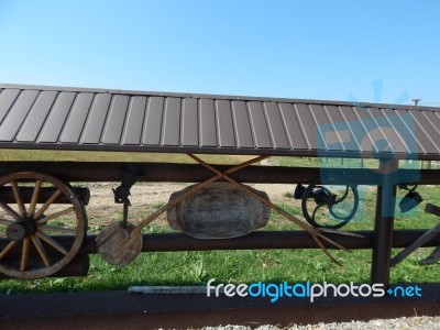 Buffalo Farm, Buffaloes Grazing In Open-air Cages  Stock Photo