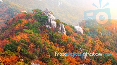 Bukhansan Mountains In Autumn,seoul In South Korea Stock Photo