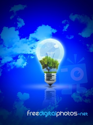 Bulb Stock Image