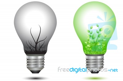 Bulbs  With Green Tree And Dry Tree Stock Image