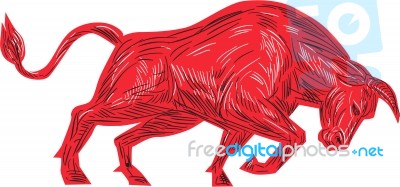 Bull Charging Drawing Stock Image