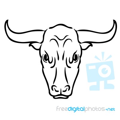 Bull On White Background Stock Image