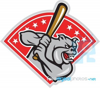 Bulldog Baseball Hitter Batting Cartoon Stock Image