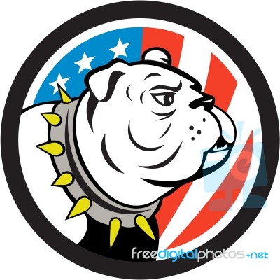 Bulldog Head Usa Flag Circle Cartoon Stock Image