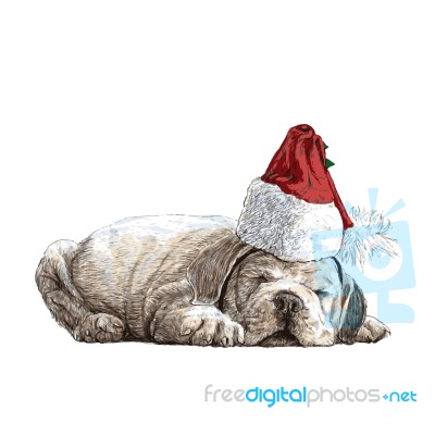 Bulldog With Santa Claus Hat Stock Image