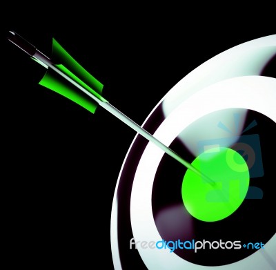 Bulls Eye Target Shows Triumph In Business Stock Image