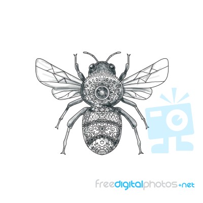 Bumble Bee Mandala Tattoo Stock Image