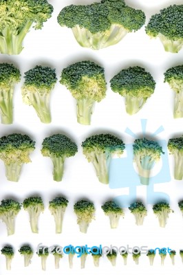 Bunch Of Broccoli Vegetables Aligned In A Perfect Way Stock Photo