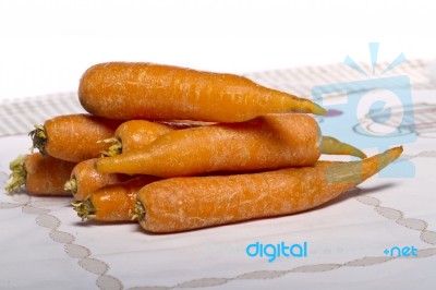 Bunch Of Carrots Stock Photo