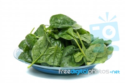 Bunch Of Fresh Spinach On A Dish Stock Photo