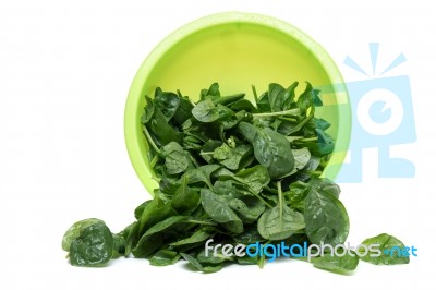 Bunch Of Fresh Spinach On A Green Bowl Stock Photo