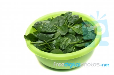 Bunch Of Fresh Spinach On A Green Bowl Stock Photo