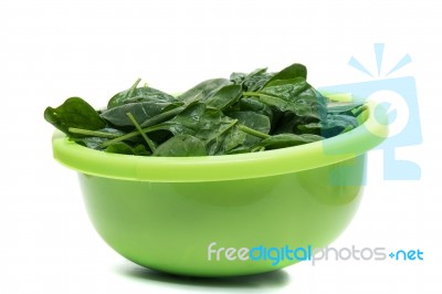 Bunch Of Fresh Spinach On A Green Bowl Stock Photo