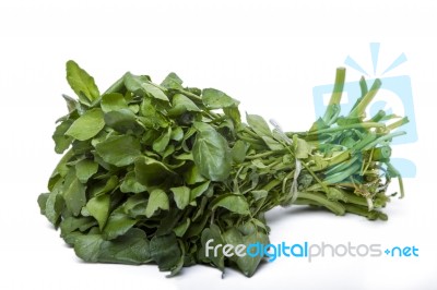 Bunch Of Fresh Watercress Stock Photo