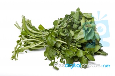 Bunch Of Fresh Watercress Stock Photo