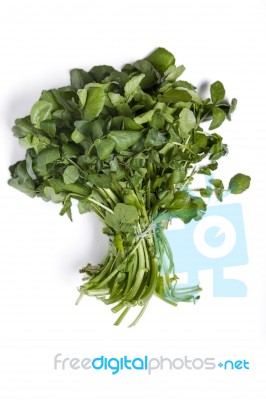 Bunch Of Fresh Watercress Stock Photo