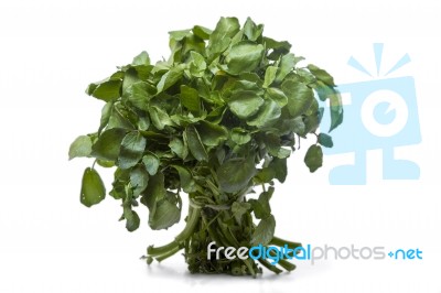 Bunch Of Fresh Watercress Stock Photo