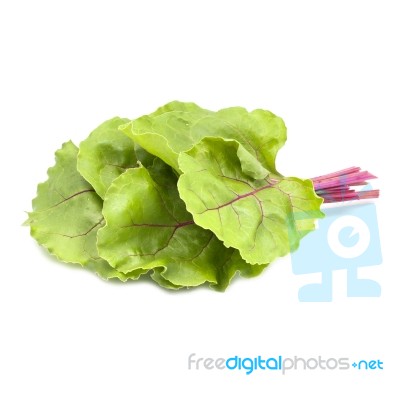 Bunch Of Green Leaf Beet Or Mangold On White Background Stock Photo