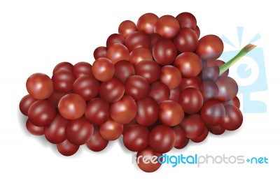 Bunch Of Red Grapes Stock Image