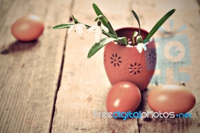 Bunch Of Snowdrop Flowers And Eggs Stock Photo