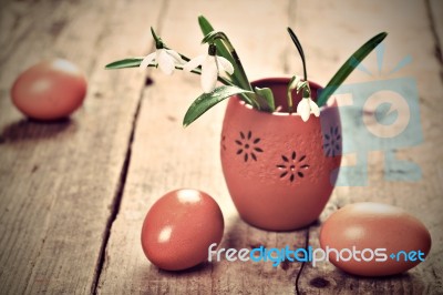 Bunch Of Snowdrop Flowers And Eggs Stock Photo