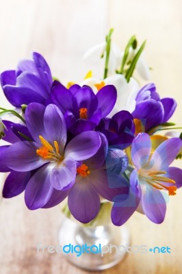 Bunch Of Spring Flowers. Crocus And Snowdrops On The Wooden Back… Stock Photo