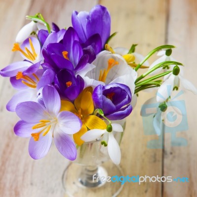 Bunch Of Spring Flowers. Crocus And Snowdrops On The Wooden Back… Stock Photo