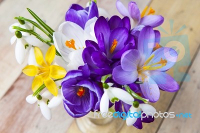 Bunch Of Spring Flowers. Crocus And Snowdrops On The Wooden Back… Stock Photo