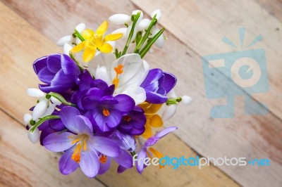 Bunch Of Spring Flowers. Crocus And Snowdrops On The Wooden Back… Stock Photo