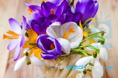 Bunch Of Spring Flowers. Crocus And Snowdrops On The Wooden Back… Stock Photo