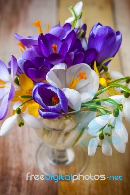 Bunch Of Spring Flowers. Crocus And Snowdrops On The Wooden Back… Stock Photo