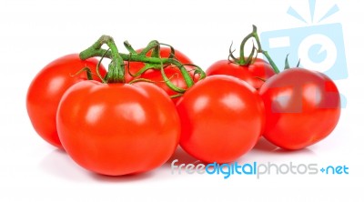 Bunch Of Tomato Isolated On White Background Stock Photo