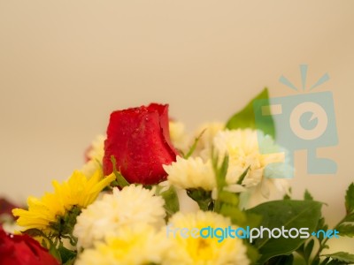 Bunch Of Vivid Flowers, Selective Focus Red Roses.  Stock Photo