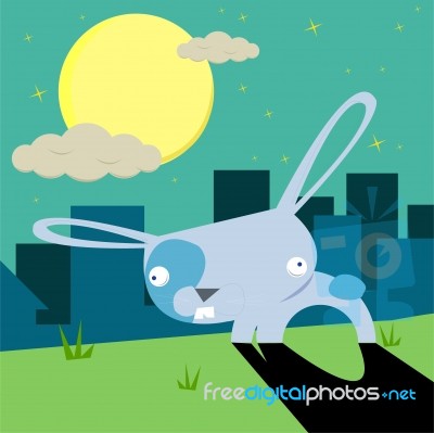 Bunny Stock Image