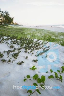 Burleigh Heads Beach During The Day Stock Photo