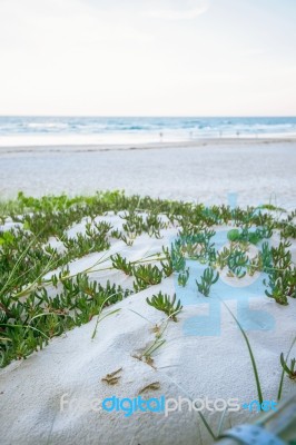 Burleigh Heads Beach During The Day Stock Photo