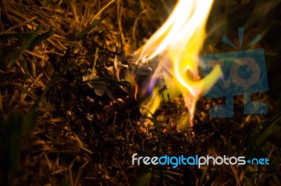 Burning Ashes Of A Paper Airplane Stock Photo